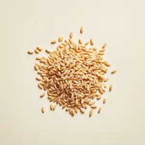 Brown Rice Protein