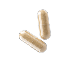 Healthy gut hover