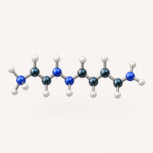 Spermidine
