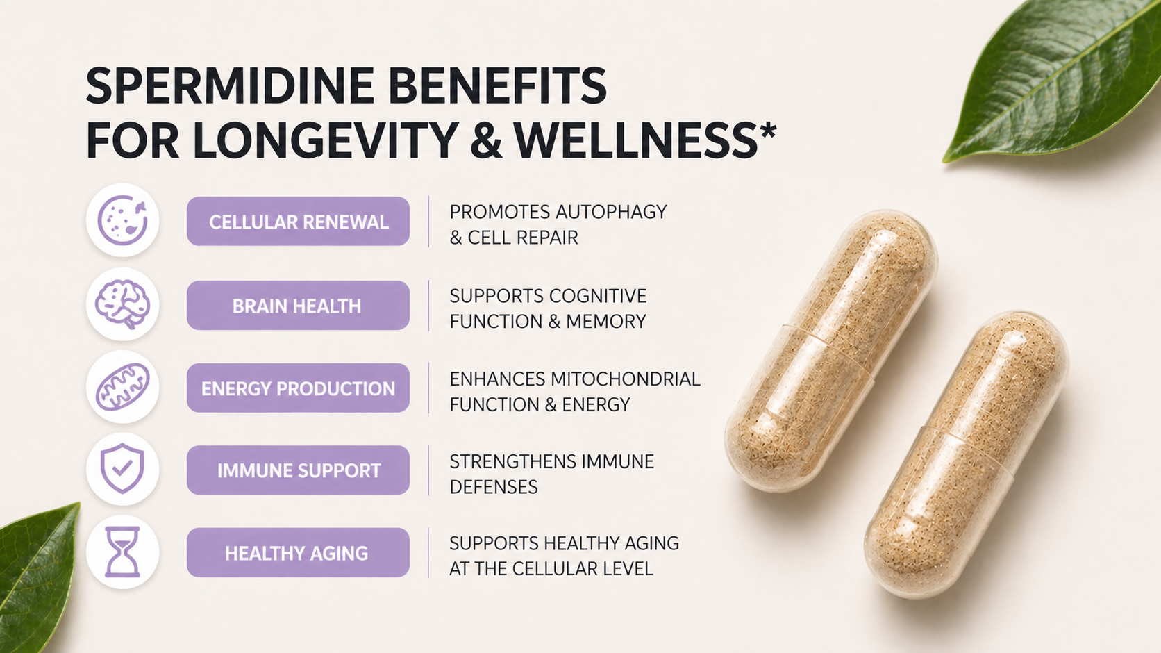 Spermidine