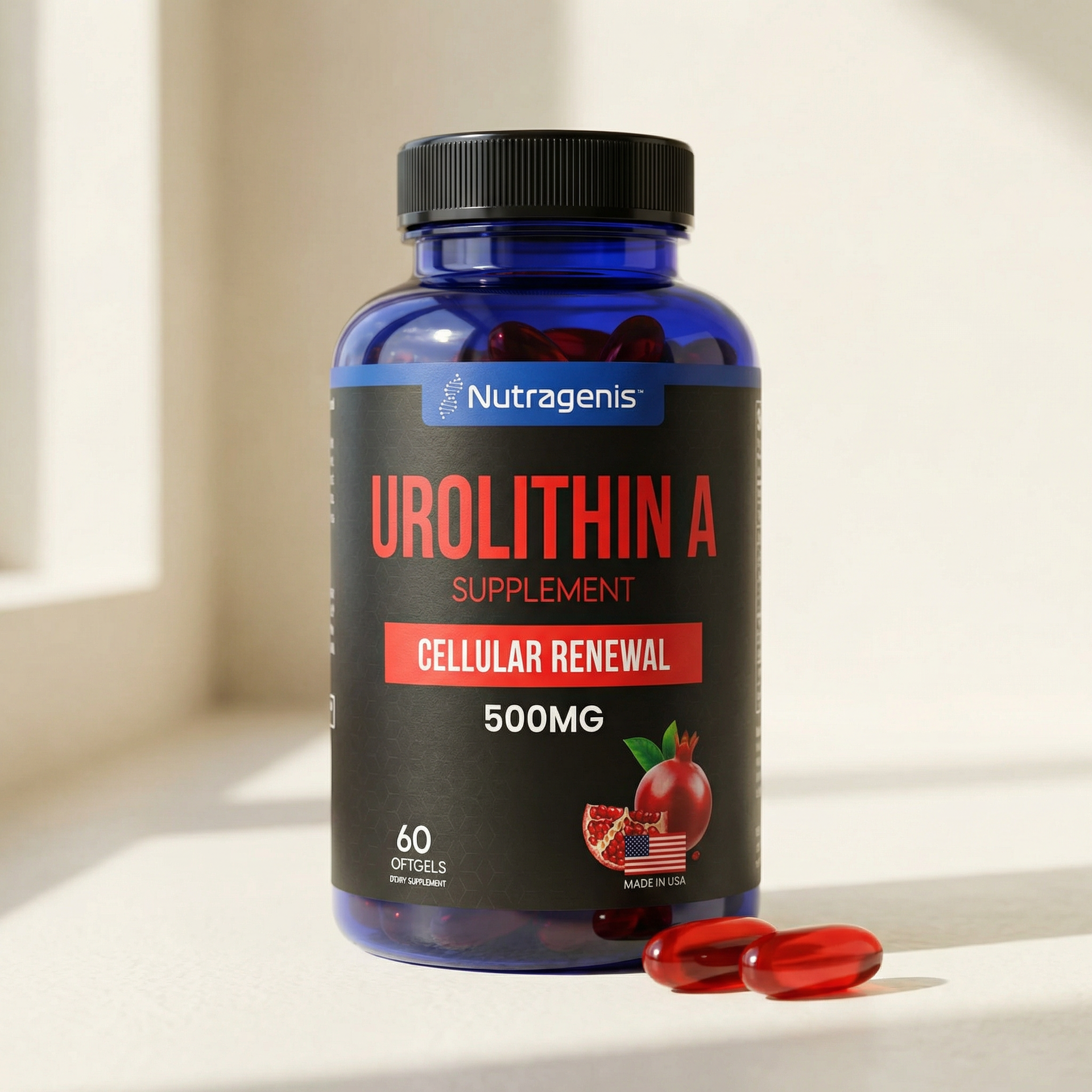 Urolithin A + Akkermansia